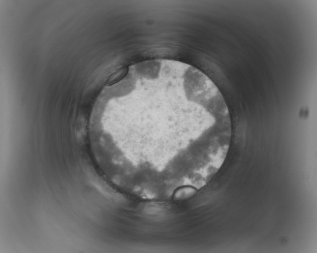 X0000112090077200909151146