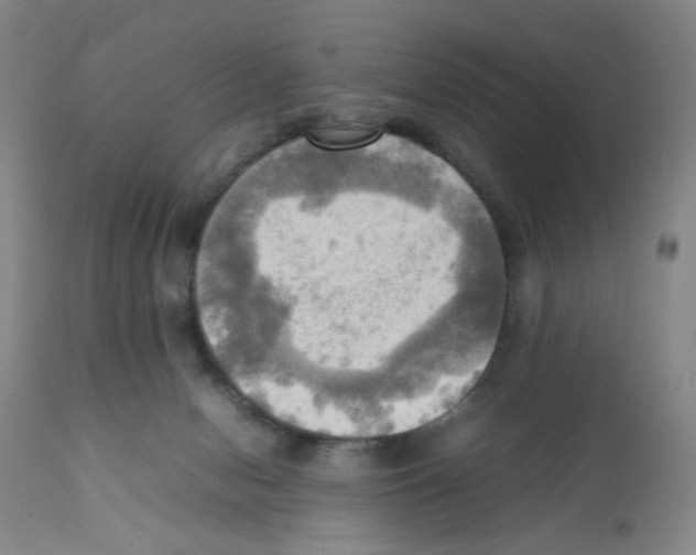 X0000112090078200909151146