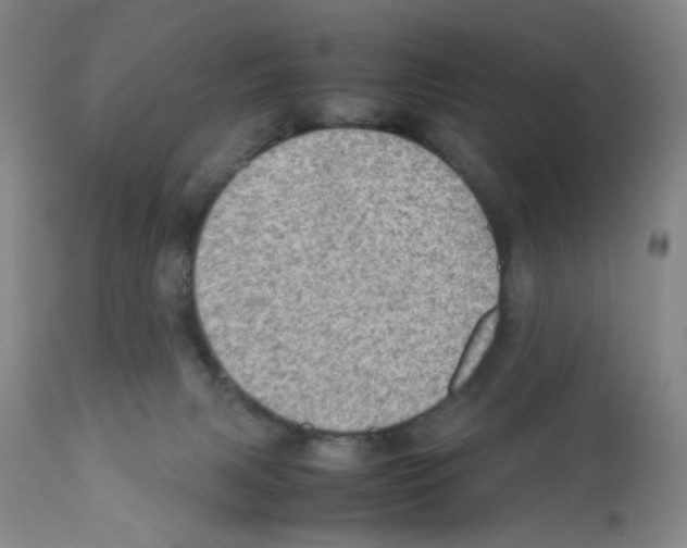 X0000112090079200909151146