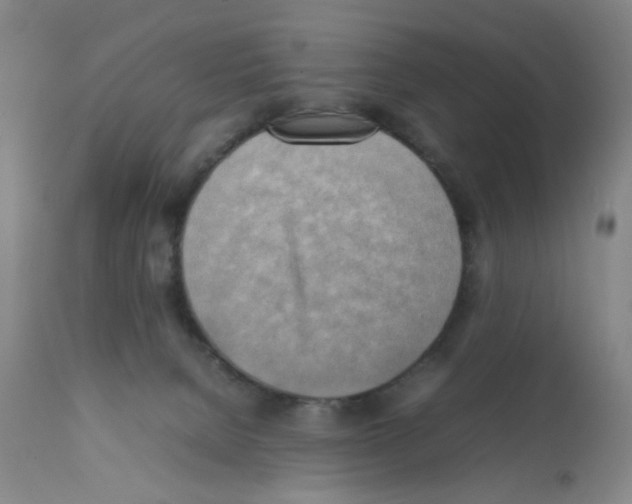 X0000112090080200909151146