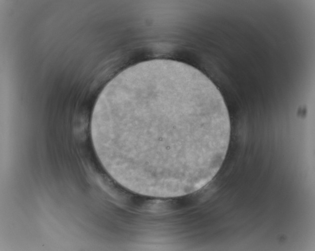 X0000112090082200909151146
