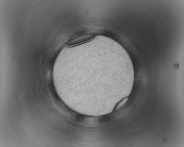 X0000112090084200909151146