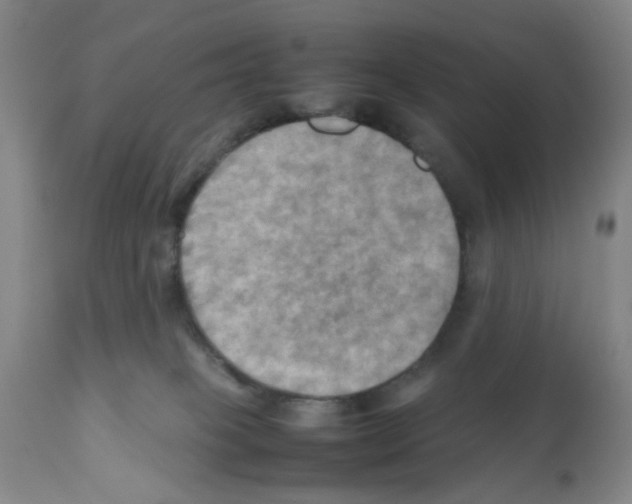 X0000112090085200909151146