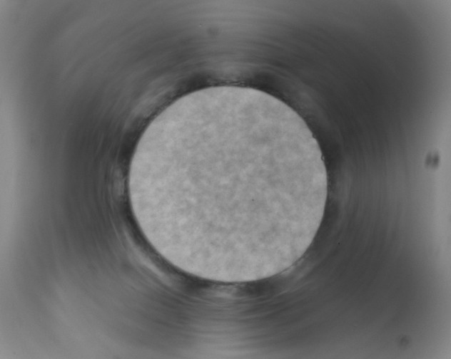 X0000112090086200909151146