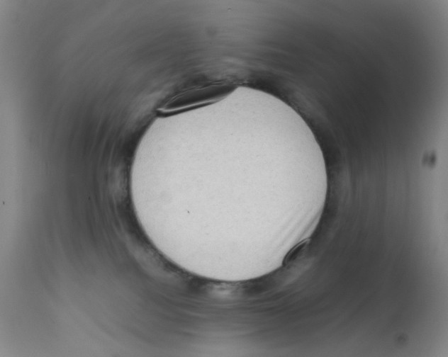 X0000112090088200909151146