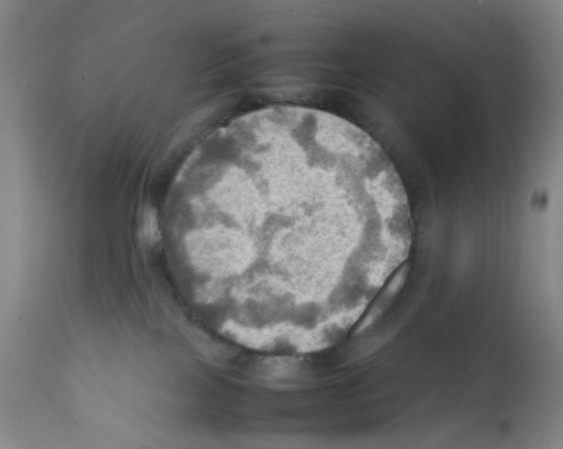 X0000112090089200909151146
