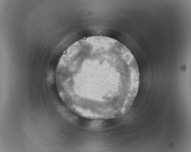 X0000112090090200909151146