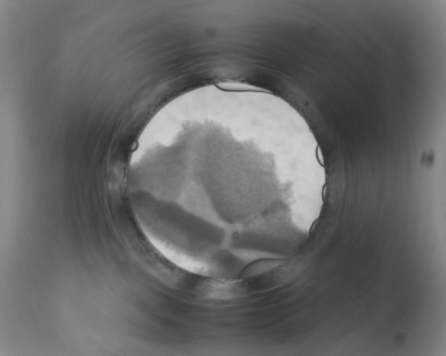 X0000112090093200909151146