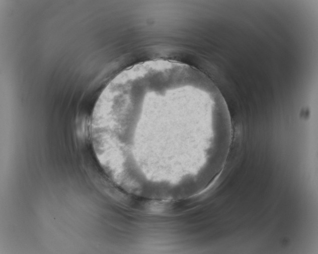 X0000112090094200909151146