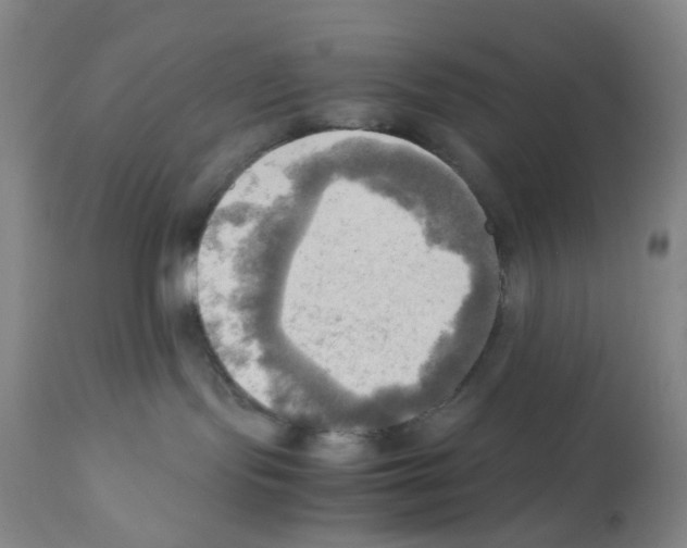 X0000112090095200909151146