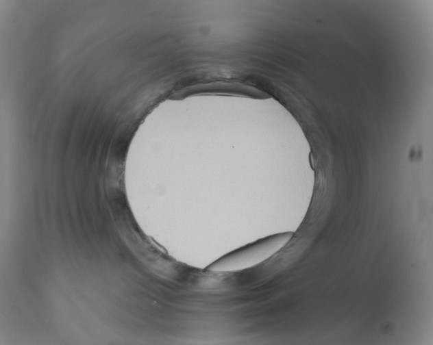 X0000112090096200909151146