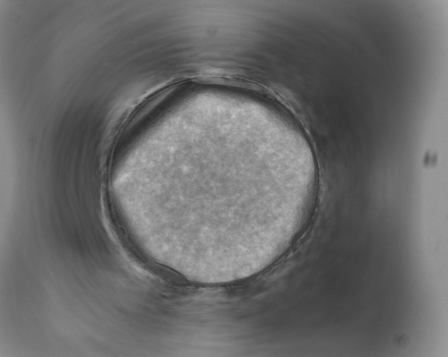 X0000112090097200909151145