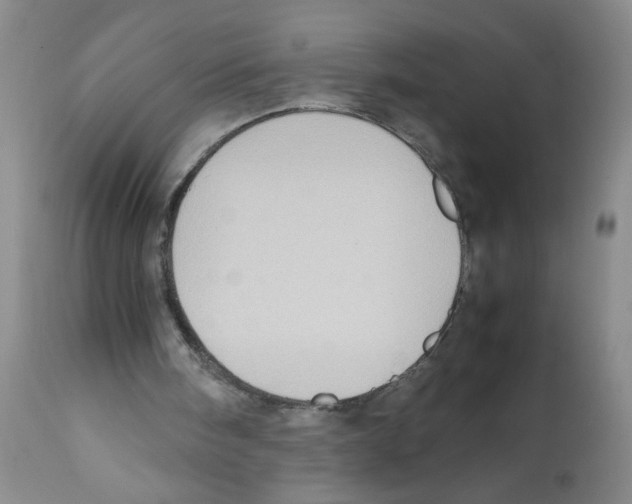 X0000112090098200909151145