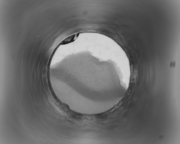 X0000112090099200909151145