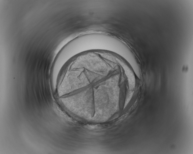 X0000112090100200909151145