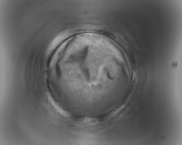 X0000112090101200909151145