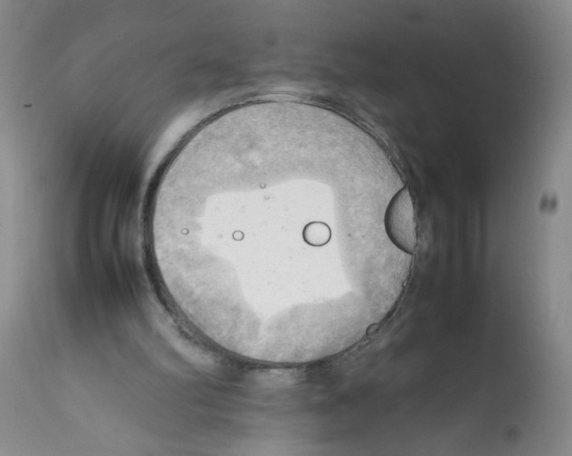 X0000112090102200909151145