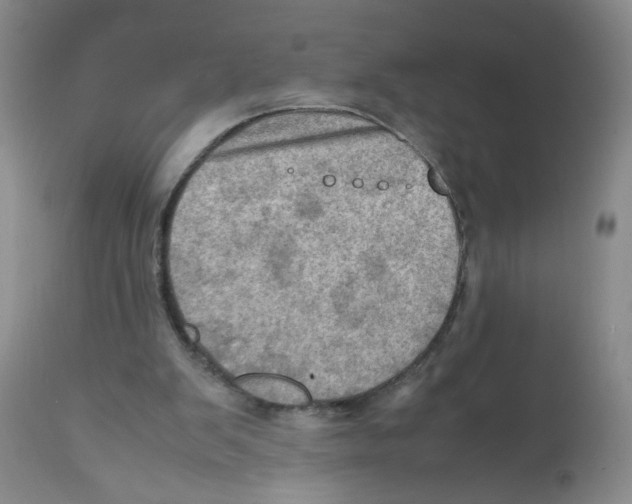 X0000112090103200909151145