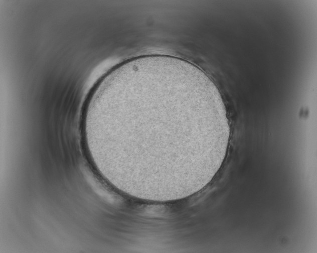 X0000112090104200909151145