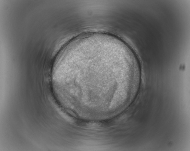 X0000112090105200909151145