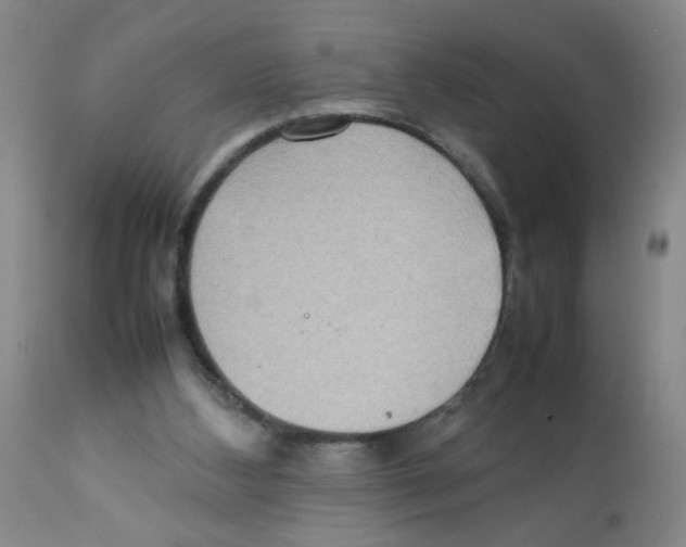 X0000112090108200909151145