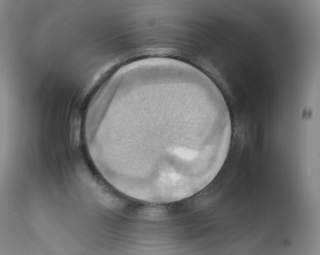 X0000112090110200909151145