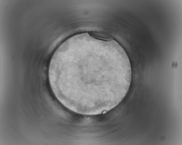X0000112090111200909151145