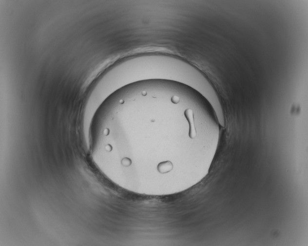 X0000112090112200909151145