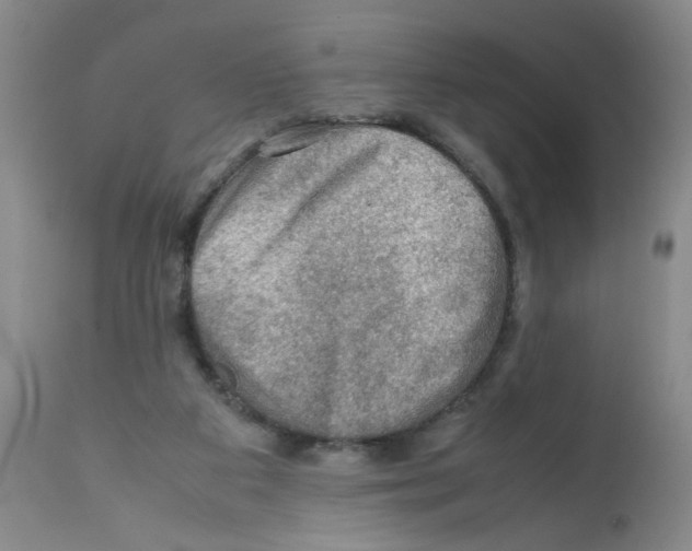 X0000112090113200909151145