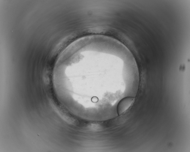 X0000112090114200909151145