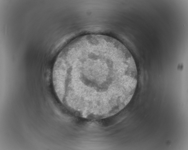 X0000112090115200909151145