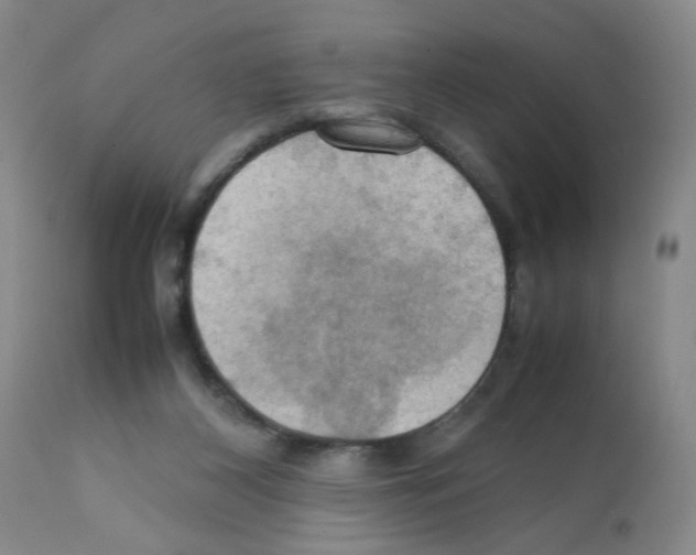 X0000112090116200909151145