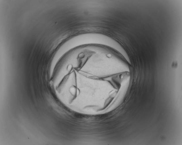 X0000112090120200909151145