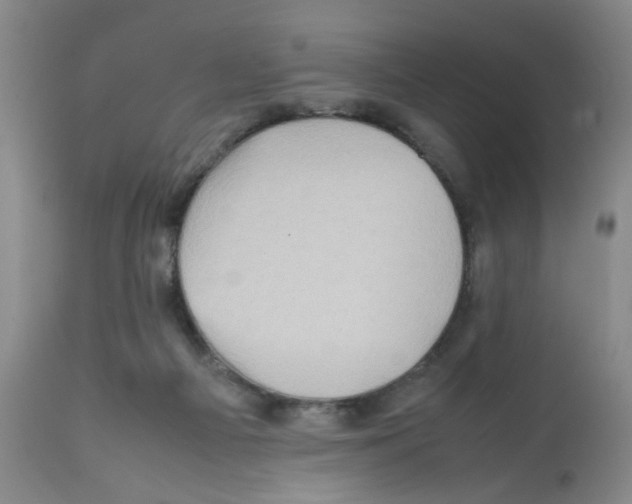 X0000112090121200909151145