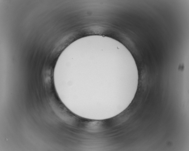 X0000112090122200909151145