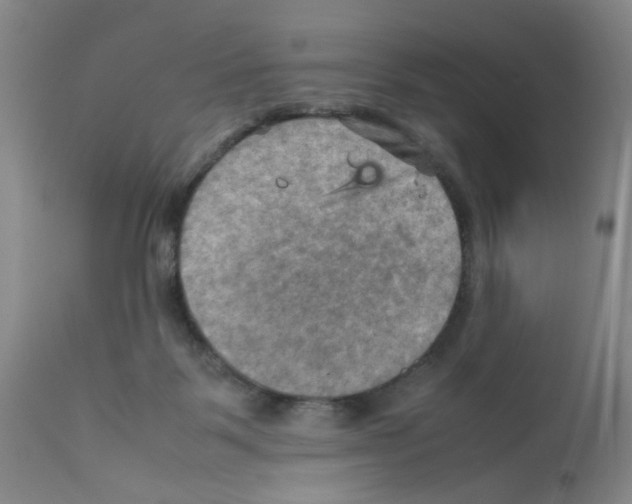 X0000112090123200909151145