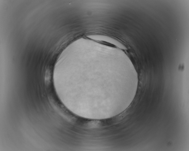 X0000112090124200909151145