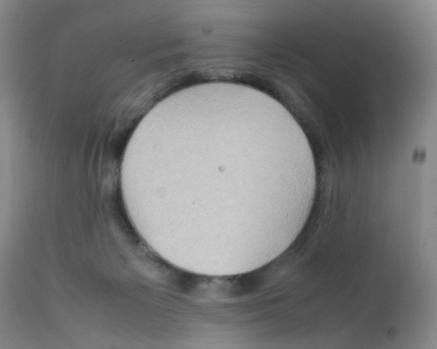 X0000112090125200909151145