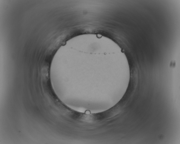 X0000112090127200909151145