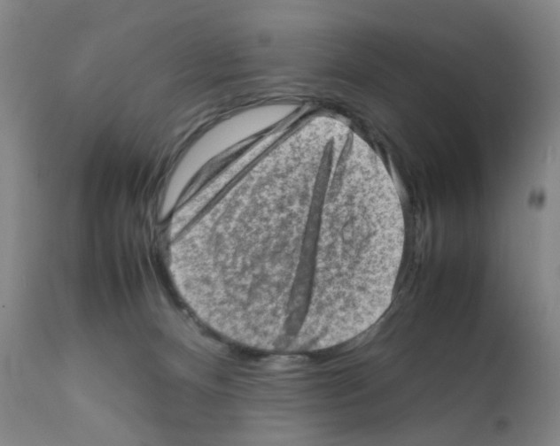 X0000112090128200909151145