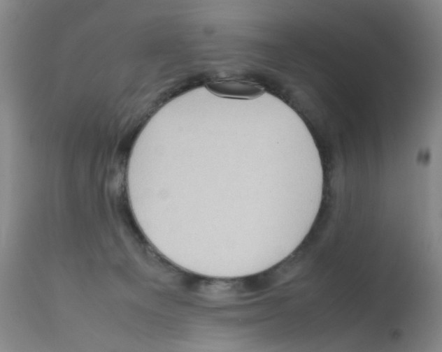 X0000112090129200909151145