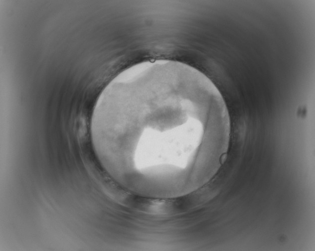 X0000112090130200909151145