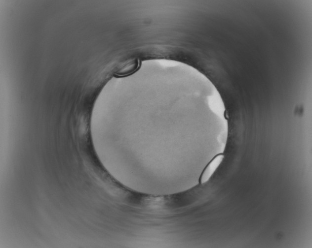 X0000112090131200909151145