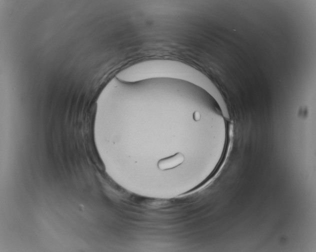 X0000112090132200909151145
