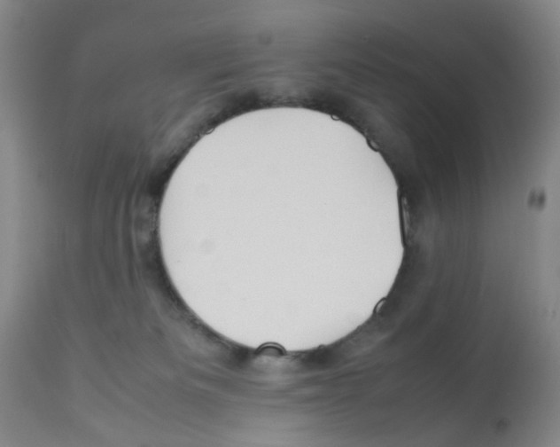 X0000112090133200909151145