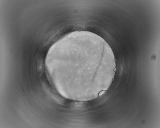 X0000112090134200909151145
