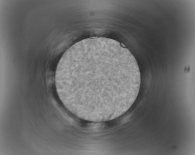 X0000112090135200909151145