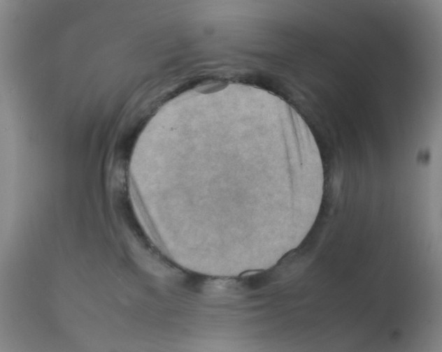 X0000112090137200909151145