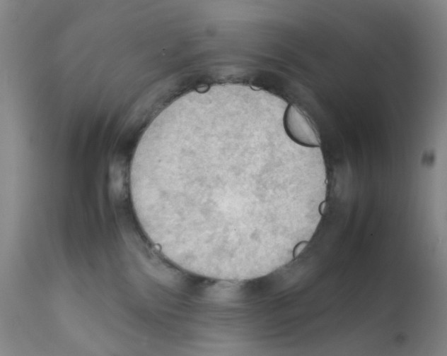 X0000112090138200909151145