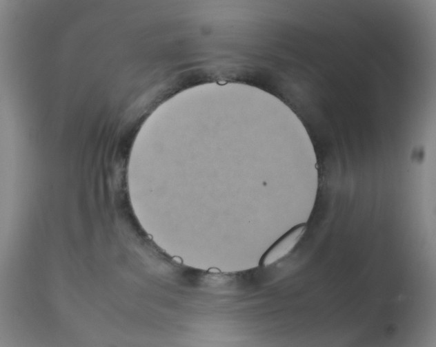 X0000112090139200909151145